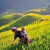 MCT10: GRAND LEGACY OF INDOCHINA 26 DAYS 25 NIGHTS